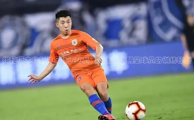 人人体育app官方下载ios壹网壹创揭秘啄木鸟新片足球运动员：全面解析明星球员的训练秘籍