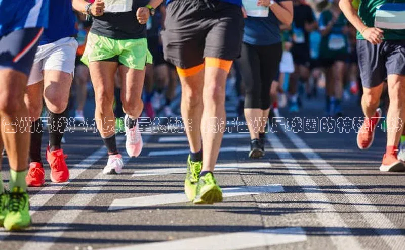 人人体育官方正版下载安装百家号雷州足球运动员数量揭秘：揭开雷州足球圈的神秘面纱