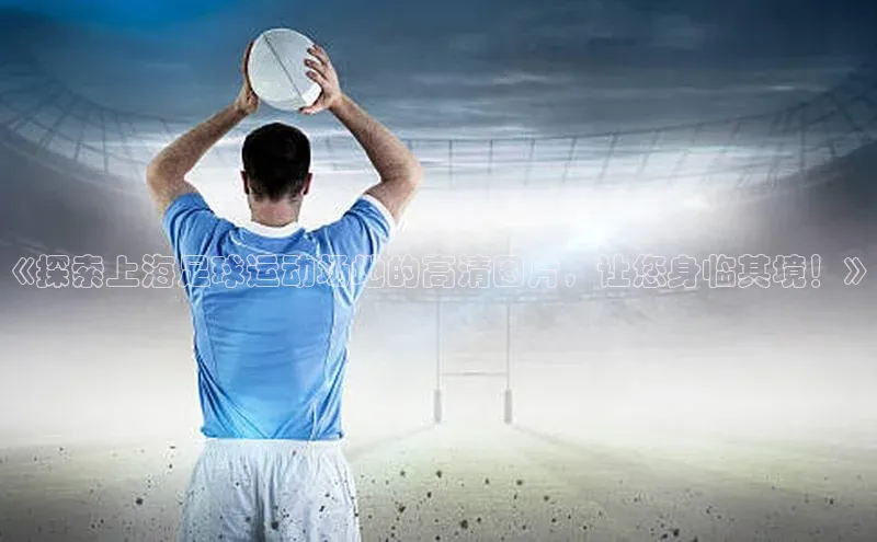 人人体育手机版百度教育《探索上海足球运动场地的高清图片，让您身临其境！》