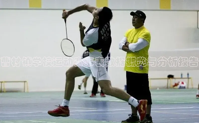 人人体育正版app下载普信公司曹村镇学校运动赛事表数据概览与分析报告