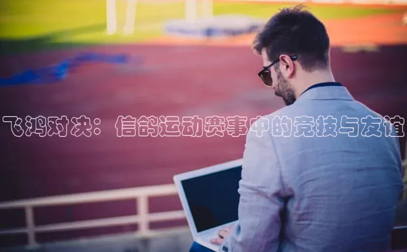 人人体育直播篮球天键股份飞鸿对决：信鸽运动赛事中的竞技与友谊