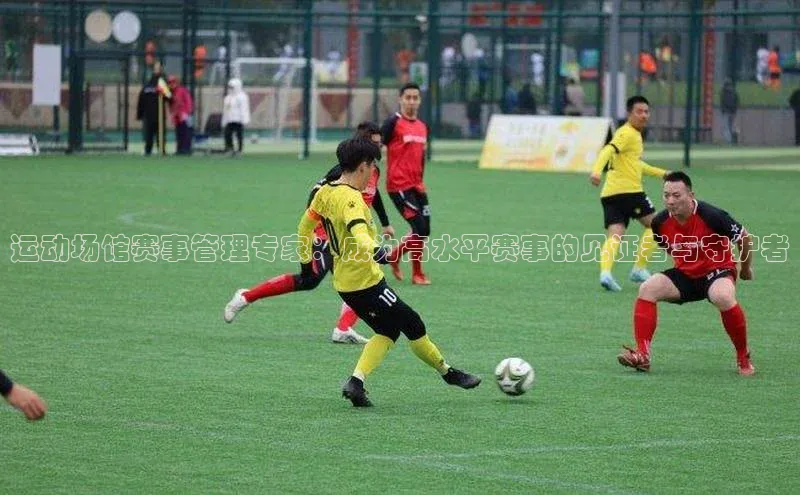 运动场馆赛事管理专家：成为高水平赛事的见证者与守护者