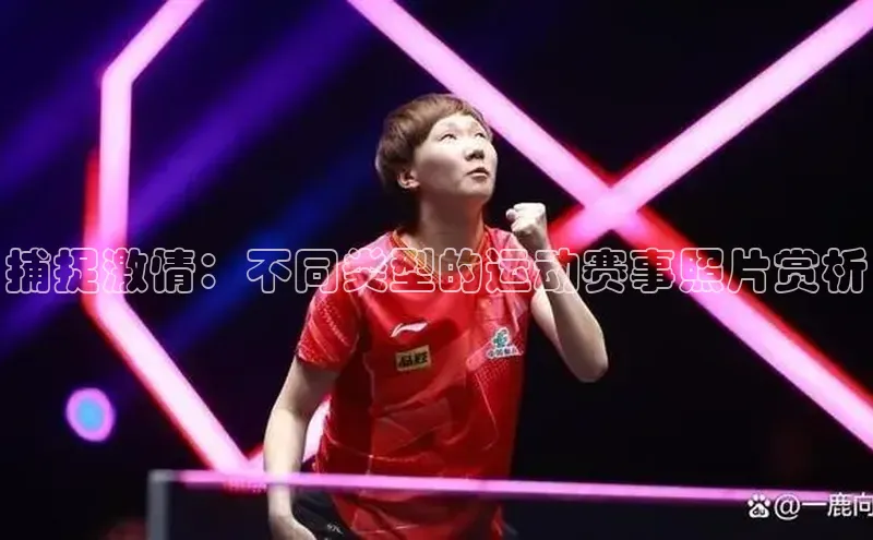 捕捉激情：不同类型的运动赛事照片赏析