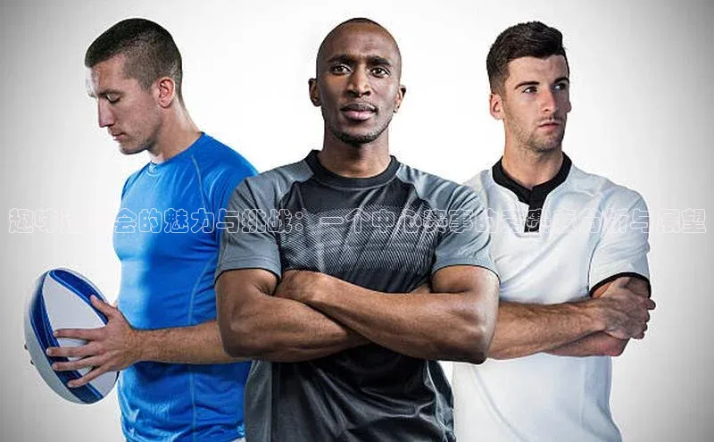 趣味运动会的魅力与挑战：一个中心赛事的竞赛表分析与展望