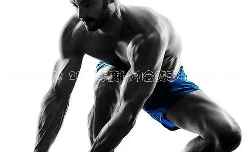 冠军之路：2023年度运动会赛事排名与展望