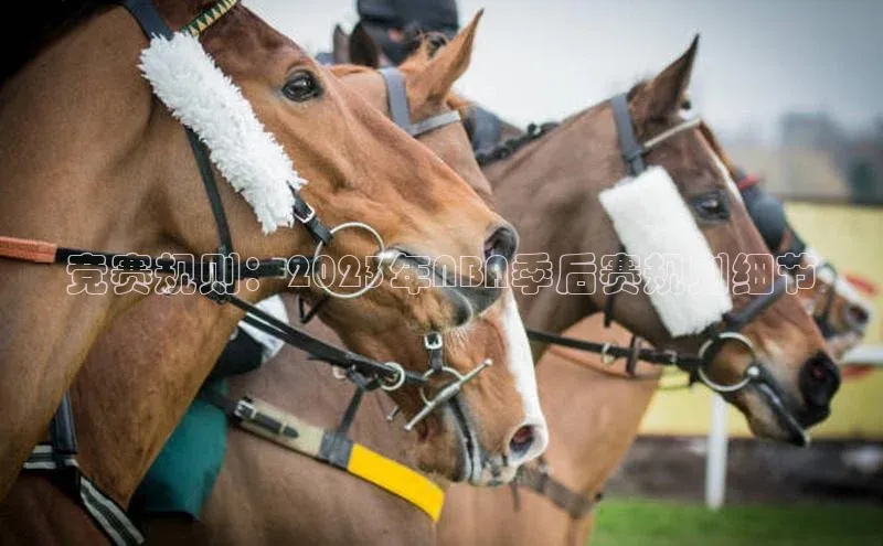竞赛规则：2023年NBA季后赛规则细节