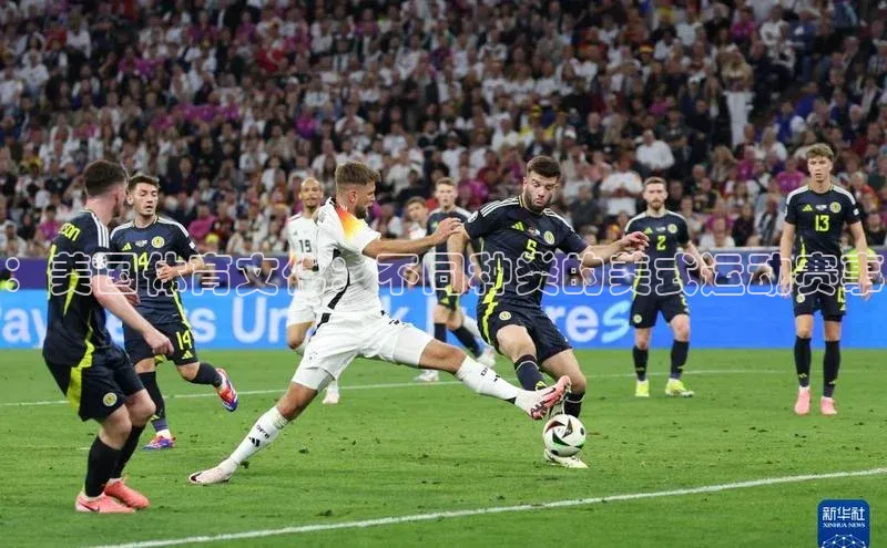 ：美国体育文化：不同种类的美式运动赛事