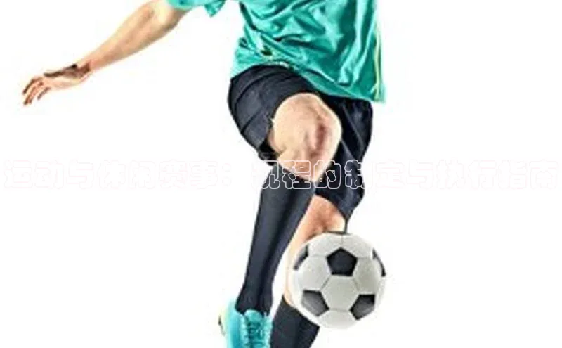 运动与休闲赛事：规程的制定与执行指南