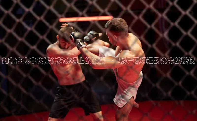 如何在家中也能体验赛场上的激情——观看现场运动赛事的秘诀