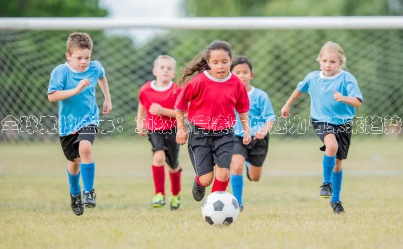 全球竞技盛事：顶级体育赛事的魅力与未来趋势