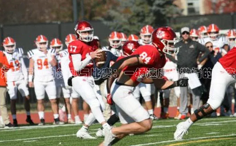 汽摩运动的规则与比赛：一场速度与激情的盛宴