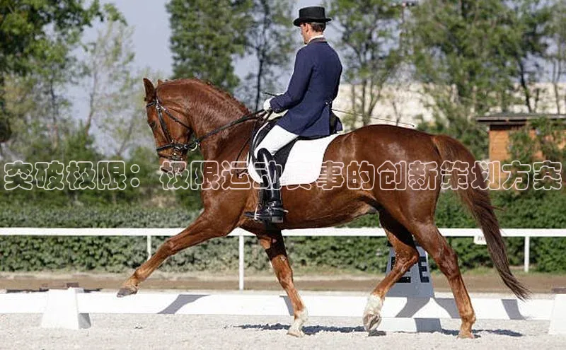 突破极限：极限运动赛事的创新策划方案