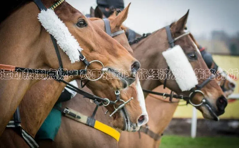 人人体育直播篮球