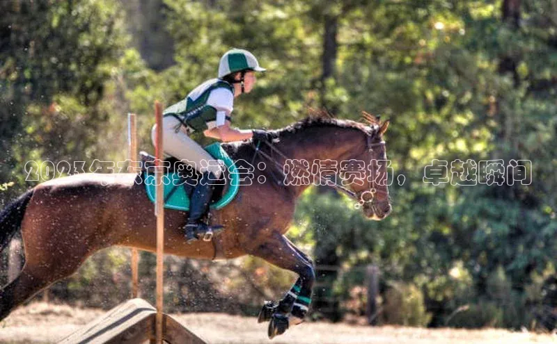 人人体育app直播下载