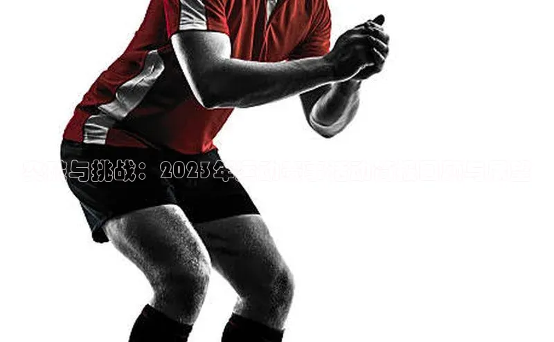 人人体育正版app下载