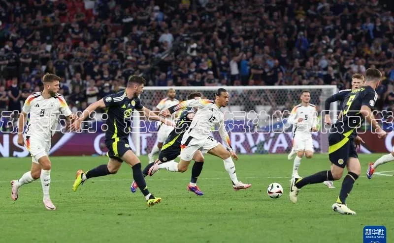 人人体育直播篮球