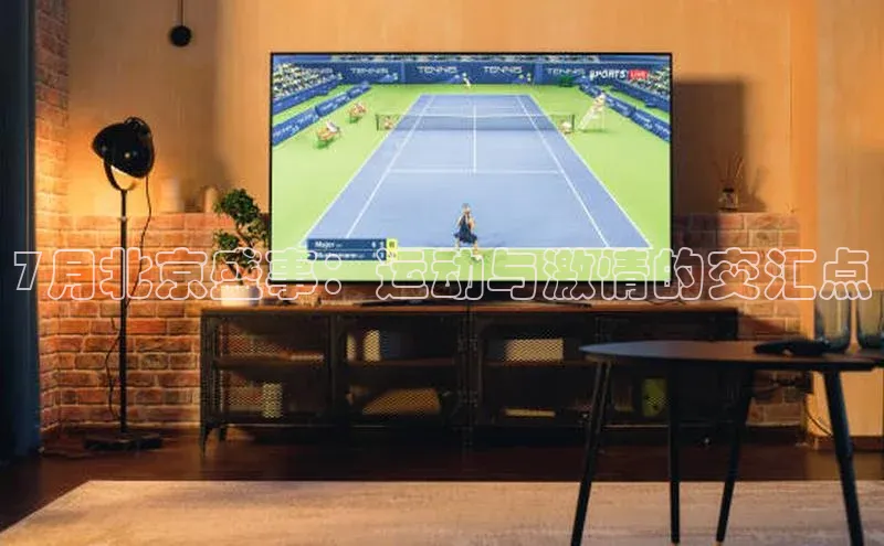 人人体育app安卓版