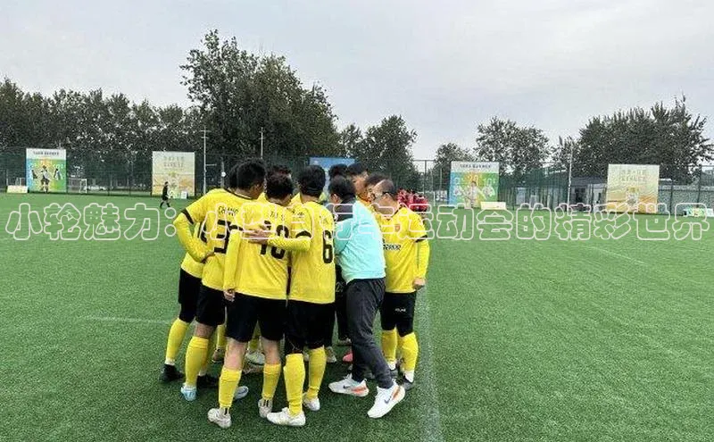 小轮魅力：小型自行车运动会的精彩世界